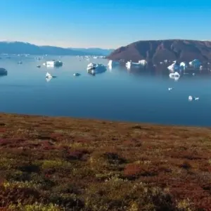 Explore East Greenland Scoresby Sund - Northern Lights for 10 days with Colibri Travel and discover unforgettable experiences - Photo 3