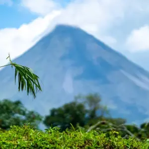 Explore Costa Rica for Nature Explorers for 15 days with Colibri Travel and discover unforgettable experiences - Photo 7