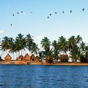 Explore Honduras for Beginners for 8 days with Colibri Travel and discover unforgettable experiences - Photo 5