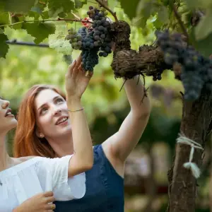 Explore Charming Sicily Food & Wine Small Group Tour - 8 days for 8 days with Click Tours and discover unforgettable experiences - Photo 5