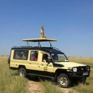 Explore Masai Mara Safari for 4 days with Colibri Travel and discover unforgettable experiences - Photo 8