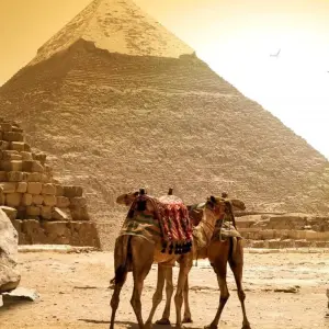 Explore Holyland Israel & Jordan & Cairo - 14 Days for 14 days with Click Tours and discover unforgettable experiences - Photo 9