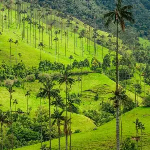 Explore Colombia ~ The Land of Magical Realism ~ Guided Trek (All Inclusive) for 11 days with Climbing Mountains and discover unforgettable experiences - Photo 5