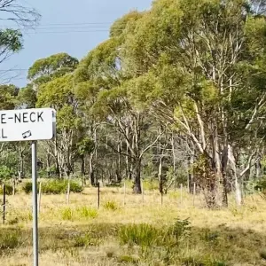 Explore Hobart, Tasmania ~ St. Patricks Day ~ Guided *ROAD CYCLE* (All Inclusive) for 7 days with Climbing Mountains and discover unforgettable experiences - Photo 5