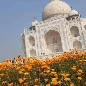 Explore Same Day Agra Taj Mahal Tour from Delhi by Car for 1 days with Companion Journey Private Limited and discover unforgettable experiences - Photo 4