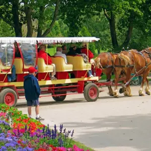 Explore Mackinac Island  (Chicago, IL to Southfield, MI) (2025) for 9 days with Collette and discover unforgettable experiences - Photo 2