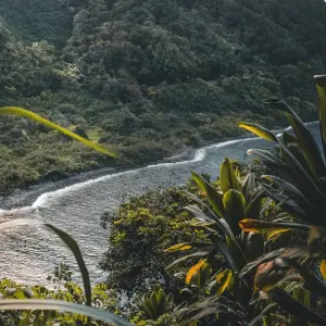 Explore Hawaiian Adventure  Three Islands featuring O'ahu, Big Island and Maui (Honolulu, HI to Maui, HI) (2025) for 10 days with Collette and discover unforgettable experiences - Photo 6