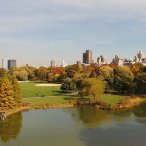 Explore Spotlight on New York City Holiday  (2025) for 5 days with Collette and discover unforgettable experiences - Photo 5