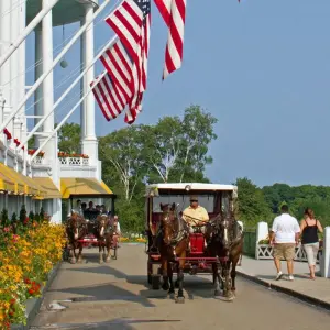 Explore Mackinac Island  (Chicago, IL to Southfield, MI) (2025) for 9 days with Collette and discover unforgettable experiences - Photo 8