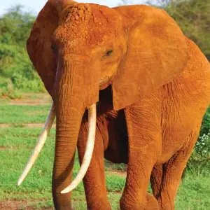 Explore Wonders of Thailand Discovering Ancient Wonders and Natural Beauty from Bangkok to Phuket (2025) for 16 days with Collette and discover unforgettable experiences - Photo 4