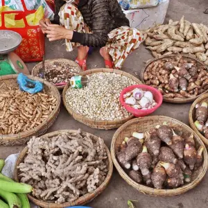 Explore Kingdoms of Southeast Asia Vietnam, Cambodia, Laos and Thailand (Hanoi to Bangkok) (2025) for 19 days with Collette and discover unforgettable experiences - Photo 3