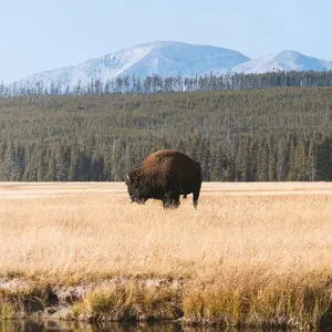 Explore America's National Parks & Denver  (Scottsdale, AZ to Denver, CO) (2025) for 14 days with Collette and discover unforgettable experiences - Photo 4