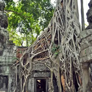 Explore Kingdoms of Southeast Asia Vietnam, Cambodia, Laos and Thailand (Hanoi to Bangkok) (2025) for 19 days with Collette and discover unforgettable experiences - Photo 5