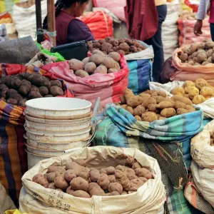 Explore Peru: Machu Picchu and Lake Titicaca  (Lima to Puno) (2025) for 10 days with Collette and discover unforgettable experiences - Photo 3