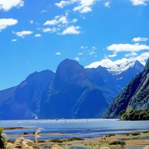 Explore South Pacific Wonders including New Zealand's North Island (Auckland to Sydney) for 17 days with Collette and discover unforgettable experiences - Photo 6