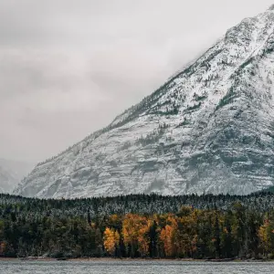 Explore Montana: Exploring Big Sky Country featuring Yellowstone & Glacier National Parks (Bozeman, MT to Missoula, MT) (Alternative) for 11 days with Collette and discover unforgettable experiences - Photo 2