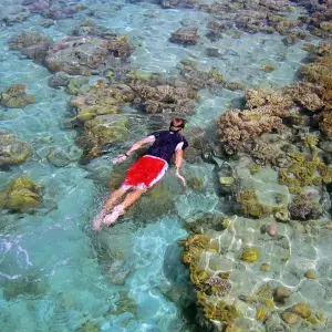 Explore South Pacific Wonders including New Zealand's North Island (Auckland to Sydney) for 17 days with Collette and discover unforgettable experiences - Photo 7