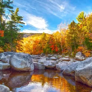 Explore Colors of New England  (Boston, MA to Portland, ME) for 8 days with Collette and discover unforgettable experiences - Photo 4