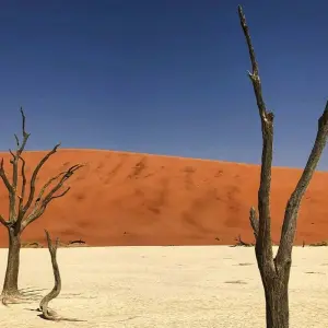 Explore Namibia & South Africa: Epic Landscapes & Wildlife  (Johannesburg to Kruger National Park) (2025) for 17 days with Collette and discover unforgettable experiences - Photo 3