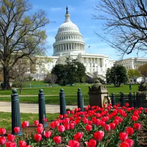 Explore American Heritage Holiday featuring The Greenbrier Resort (2025) for 8 days with Collette and discover unforgettable experiences - Photo 5