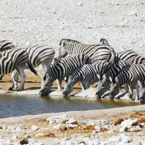 Explore Namibia & South Africa: Epic Landscapes & Wildlife  (Johannesburg to Kruger National Park) (2025) for 17 days with Collette and discover unforgettable experiences - Photo 6