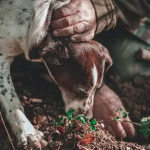 Explore Essence of France Paris, Provence & the French Riviera (Paris to Nice) (2025) for 12 days with Collette and discover unforgettable experiences - Photo 4