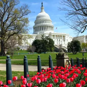 Explore American Heritage Holiday featuring The Greenbrier Resort (2025) for 8 days with Collette and discover unforgettable experiences - Photo 8