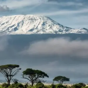 Explore African Safari: Kenya and Tanzania  (Nairobi to Tarangire National P) for 15 days with Collette and discover unforgettable experiences - Photo 2