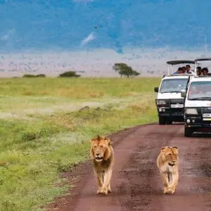 Explore African Safari: Kenya and Tanzania  (Nairobi to Tarangire National P) for 15 days with Collette and discover unforgettable experiences - Photo 3