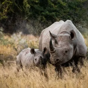 Explore Namibia & South Africa: Epic Landscapes & Wildlife  (Johannesburg to Kruger National Park) (2025) for 17 days with Collette and discover unforgettable experiences - Photo 8