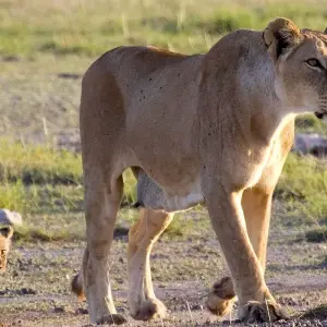 Explore African Safari: Kenya and Tanzania  (Nairobi to Tarangire National P) for 15 days with Collette and discover unforgettable experiences - Photo 5