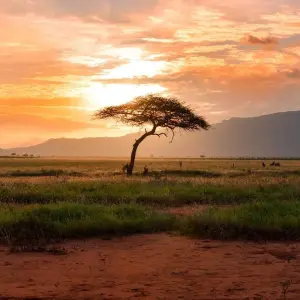 Explore African Safari: Kenya and Tanzania  (Nairobi to Tarangire National P) for 15 days with Collette and discover unforgettable experiences - Photo 6