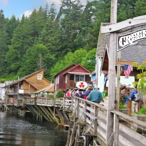 Explore Alaska Discovery Land & Cruise featuring a 7-night Holland America Cruise (Fairbanks, AK to Vancouver, BC) (2025) for 12 days with Collette and discover unforgettable experiences - Photo 3