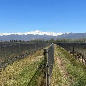 Explore Essential South America featuring Chile, the Mendoza Wine Region & Buenos Aires (Santiago to Buenos Aires) for 10 days with Collette and discover unforgettable experiences - Photo 7