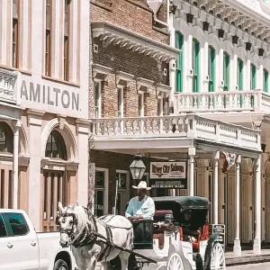 Explore California Dreamin': Monterey, Yosemite & Napa  (Monterey, CA to San Francisco, CA) (2025) for 8 days with Collette and discover unforgettable experiences - Photo 4