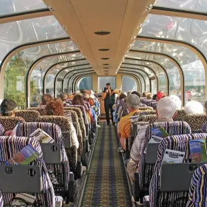 Explore Alaska Discovery Land & Cruise featuring a 7-night Holland America Cruise (Fairbanks, AK to Vancouver, BC) (2025) for 12 days with Collette and discover unforgettable experiences - Photo 6