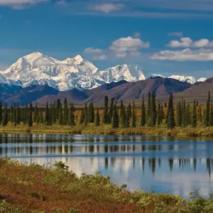 Explore Alaska Discovery Land & Cruise featuring a 7-night Holland America Cruise (Fairbanks, AK to Vancouver, BC) (2025) for 12 days with Collette and discover unforgettable experiences - Photo 9