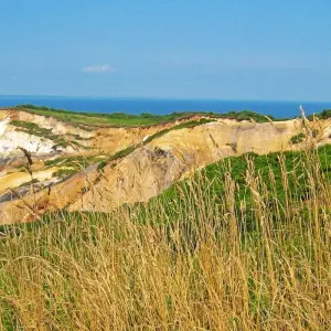 Explore Islands of New England  (Providence, RI to Cape Cod, MA) (2025) for 8 days with Collette and discover unforgettable experiences - Photo 6