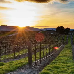 Explore Sequoia & Kings Canyon National Parks featuring San Diego and California’s Central Coast  (San Diego, CA to Los Angeles, CA) (2025) for 10 days with Collette and discover unforgettable experiences - Photo 2