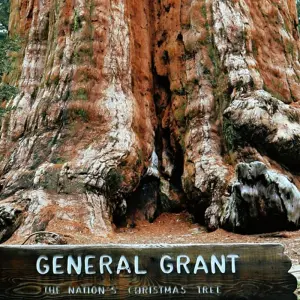 Explore Sequoia & Kings Canyon National Parks featuring San Diego and California’s Central Coast  (San Diego, CA to Los Angeles, CA) (2025) for 10 days with Collette and discover unforgettable experiences - Photo 6