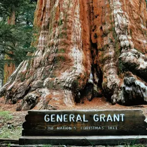 Explore Sequoia & Kings Canyon National Parks featuring San Diego and California’s Central Coast  (San Diego, CA to Los Angeles, CA) (2025) for 10 days with Collette and discover unforgettable experiences - Photo 8