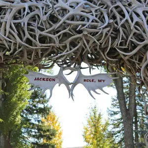Explore America's Cowboy Country  (Rapid City, SD to Jackson, WY) (2026) for 8 days with Collette and discover unforgettable experiences - Photo 3