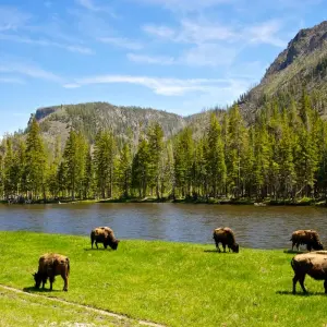 Explore America's Cowboy Country  (Rapid City, SD to Jackson, WY) (2026) for 8 days with Collette and discover unforgettable experiences - Photo 10