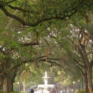 Explore Southern Charm featuring Charleston, Savannah, and Jekyll Island (Charleston, SC to Jekyll Island, GA) (2026) for 7 days with Collette and discover unforgettable experiences - Photo 7