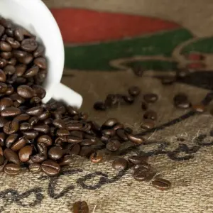 Explore Tropical Costa Rica  (San Jose to Guanacaste) (2025) for 9 days with Collette and discover unforgettable experiences - Photo 4