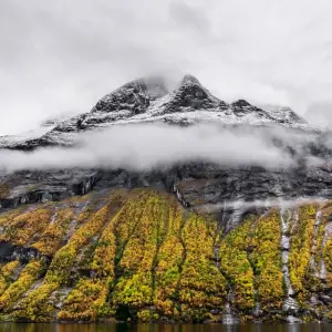 Explore Spectacular Scandinavia  (Copenhagen to Bergen) (2024) for 14 days with Collette and discover unforgettable experiences - Photo 3