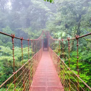 Explore Tropical Costa Rica  (San Jose to Guanacaste) (2025) for 9 days with Collette and discover unforgettable experiences - Photo 5