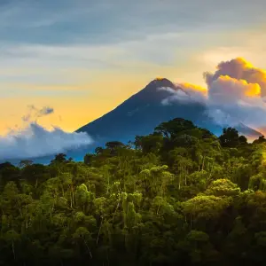 Explore Tropical Costa Rica  (San Jose to Guanacaste) (2025) for 9 days with Collette and discover unforgettable experiences - Photo 7