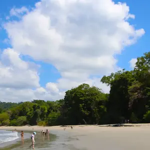 Explore Costa Rica: A World of Nature featuring Tortuguero National Park, Arenal Volcano & Manuel Antonio National Park (2025) for 12 days with Collette and discover unforgettable experiences - Photo 3