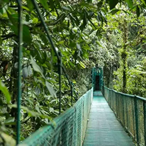 Explore Tropical Costa Rica  (San Jose to Guanacaste) (2025) for 9 days with Collette and discover unforgettable experiences - Photo 10